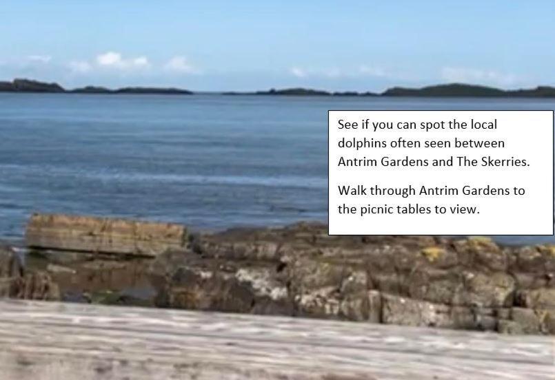 Apt3, No 2 Antrim Gardens, Portrush With Seaview Ngoại thất bức ảnh